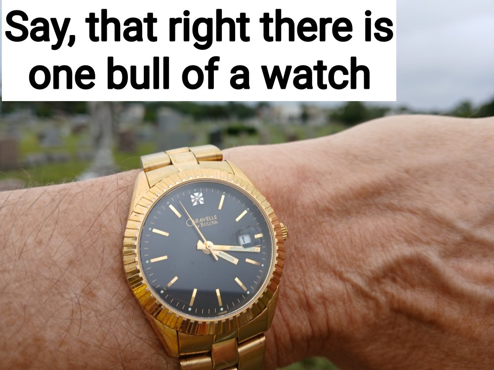 bull of a watch.jpg