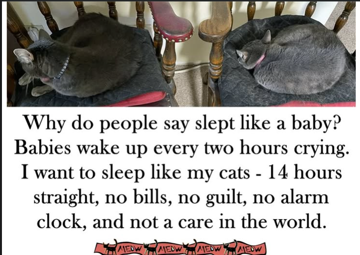 image.png.15cf82cf1c82b2b19dccd7ec2e6d264e.png