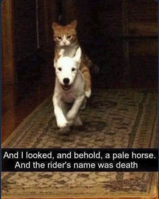 image.png.845bf23ec1d848c01e969831c06223ef.png
