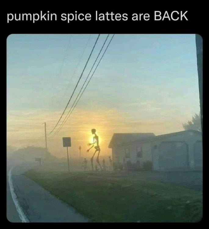 1757270222396.jpg