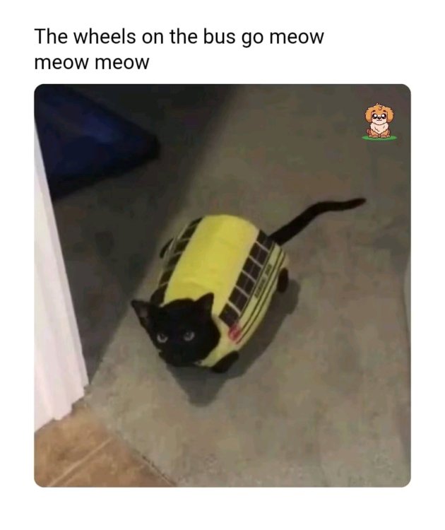 1757545020053.jpg