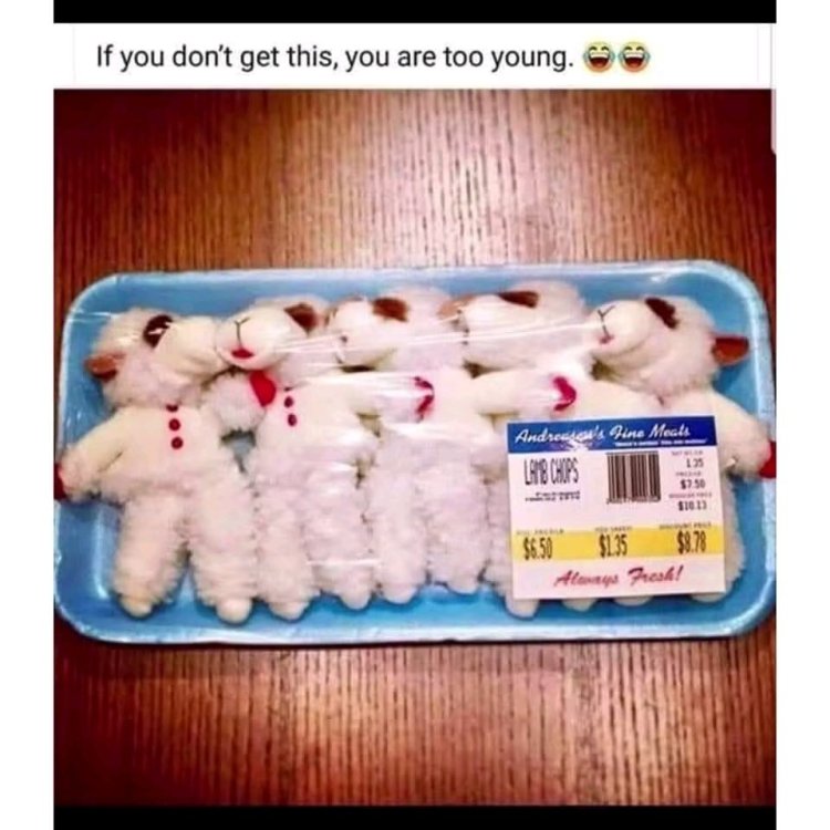 1757631671164.jpg