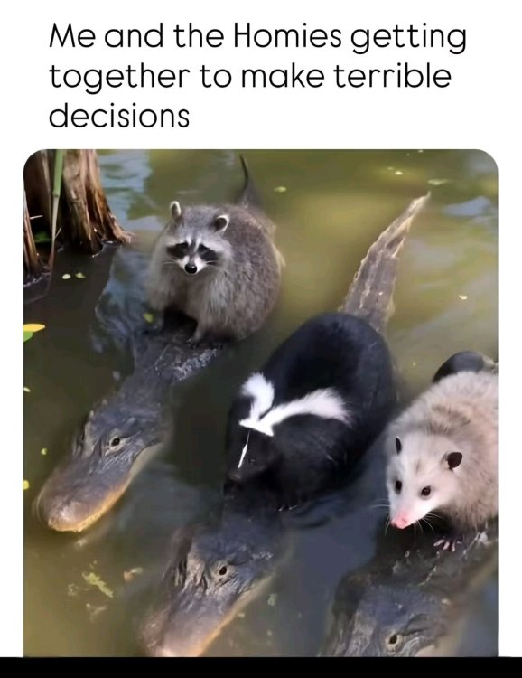 1758639731670.jpg