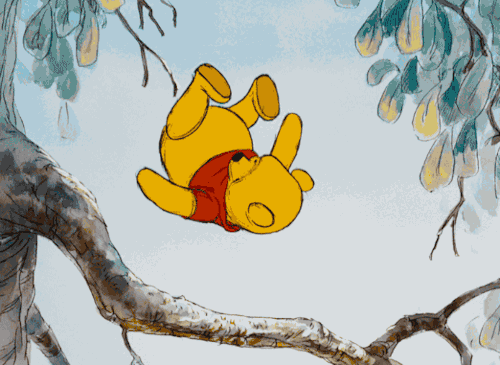 IMG_8669.gif.bba50371d94319bb9d137b91cc156d2c.gif