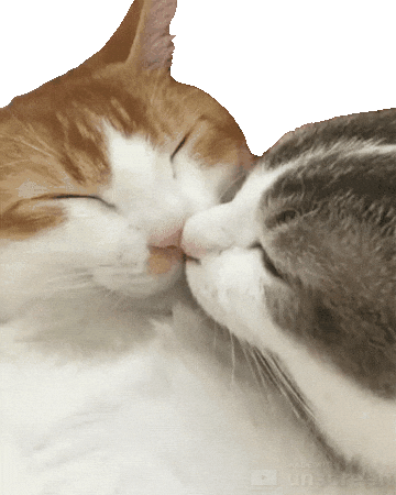 Kiss.gif.710df8de3cde11cdac790a0501d4fce5.gif