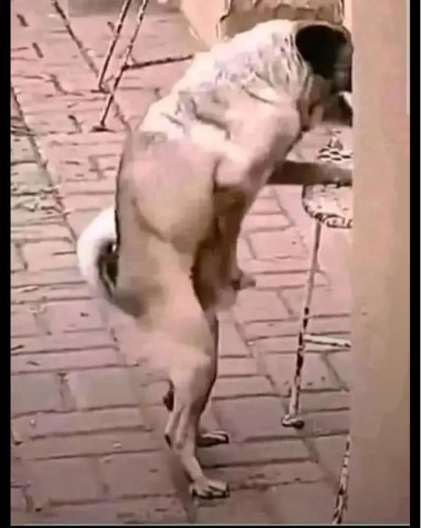 Screenshot_20250828-144523.png