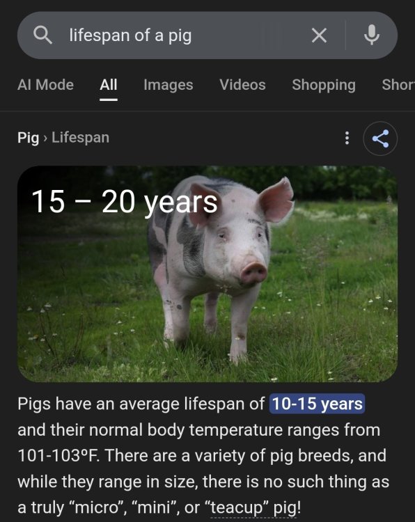 Screenshot_20250929_141221_Samsung Internet.jpg
