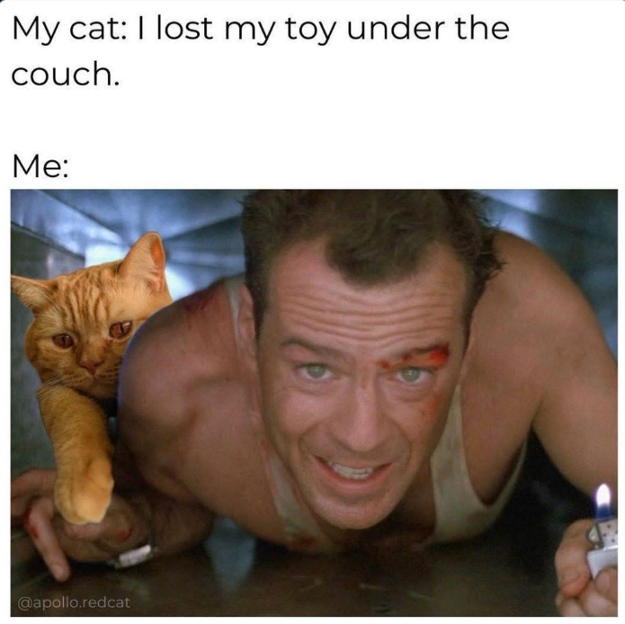 image.png.51f130a5a5d7994b5ee0f26f725ec2bc.png