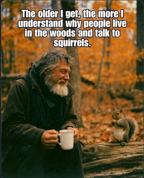 image.png.97c5c71dd00b52cca830bf4ebd028f94.png