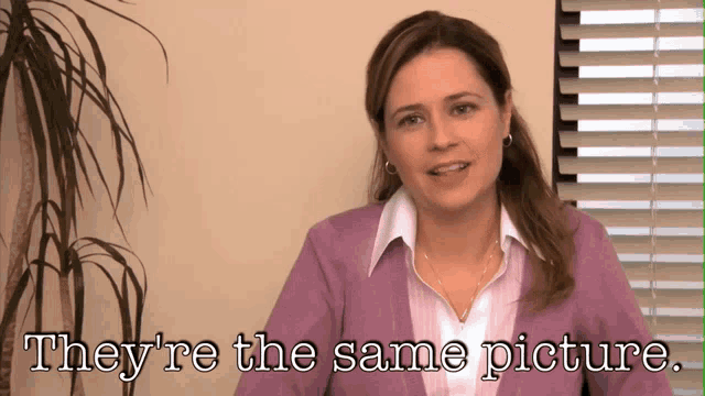 theyre-the-same-picture-the-office(1).gif.077acc8f395bc8b83e78d66b2464336c.gif