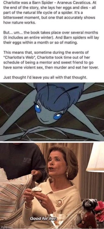 1759667302135.jpg