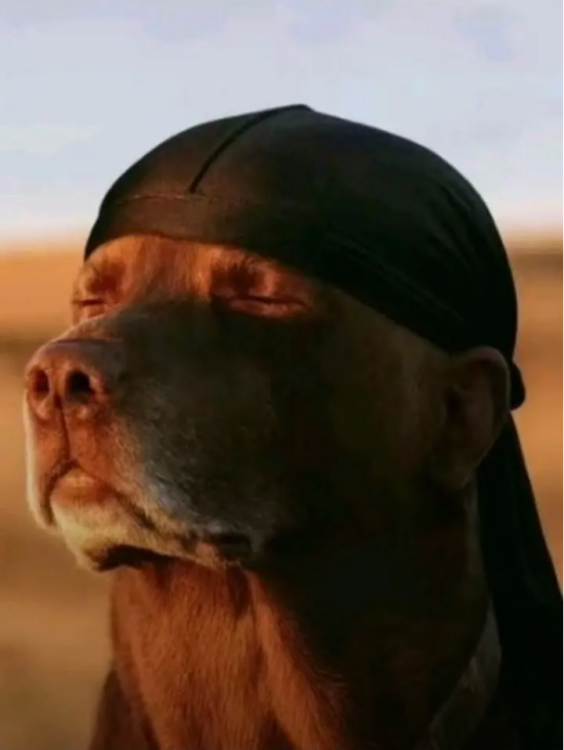 Screenshot_20250928-130521.png