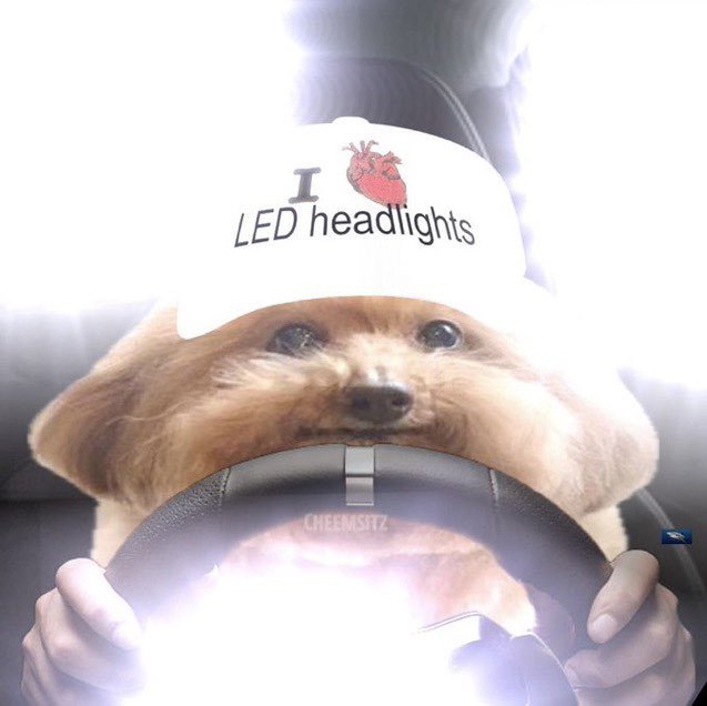 cba4b4e7-897a-4cf2-90ba-21e648d51b59.png.1ce6c3b0ebd3ed32d8deb66d069640a6.png