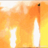 image.gif.0d58509f301297e632cc908967b70acb.gif