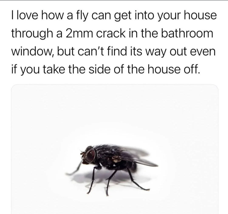 image.png.3bd561670fba60a807e200466e7c936b.png