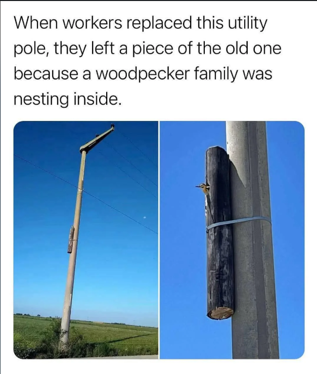 image.png.a29d1c0fa630fc935808345fbef557e8.png