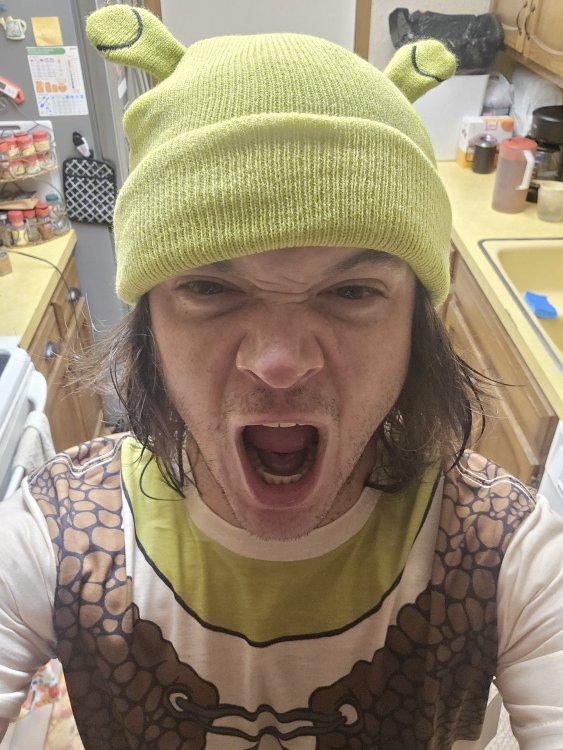 shrek.jpeg
