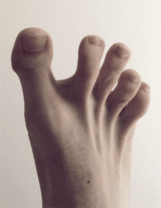 image.gif.cdfbee664c2c0ffd246d021cbd7f9ce1.gif